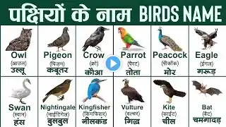 birds name in English and Hindi with picture/pakshiyon ke Naam/पक्षियों के नाम हिंदी और इंग्लिश में