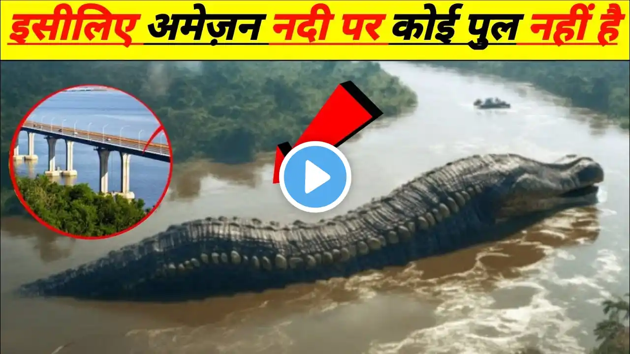 अमेजन नदी के ऊपर पुल क्यों नहीं बनाया जा सका Amazon river mystery Fact and gk #amazon jungle #facts