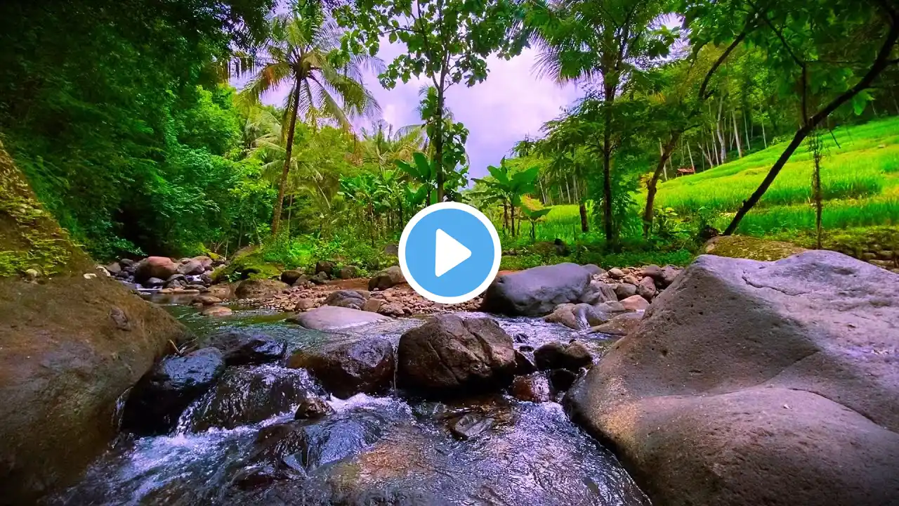 Gentle River Water Sounds for Calm Sleep: Rainforest Therapy Noise for Study for Meditation