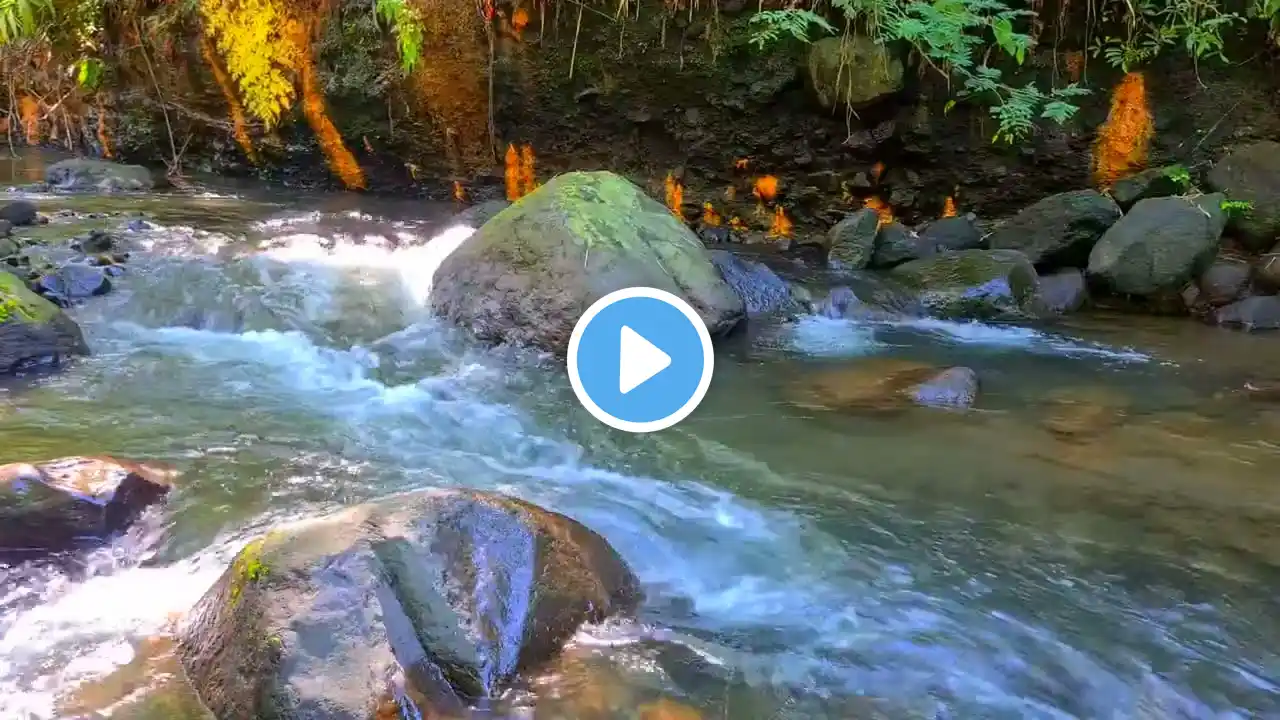 Relaxing River Sounds stress reliever, helps deep sleep, for meditation and yoga