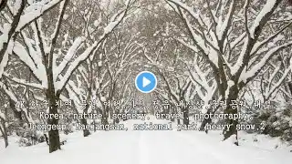 정읍,내장산,국립공원,대설,Jeongeup, Naejangsan, national park, heavy snow,1 1