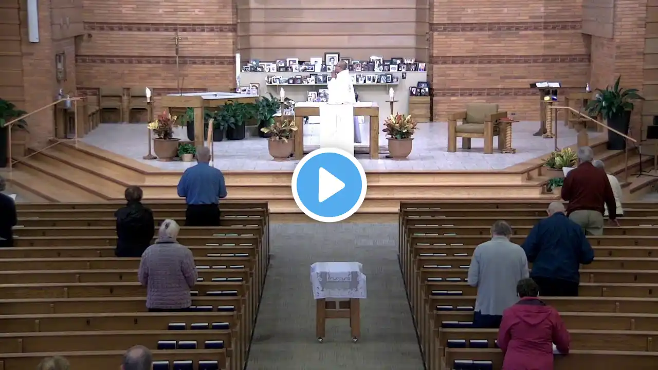 8:30 am daily Mass with Rosary in the pews at 8