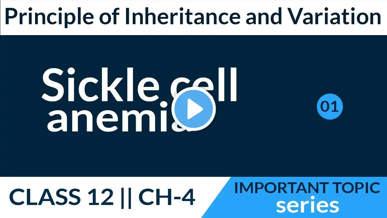 Sickle cell anemia class 12 || Principle of inheritance and variation || #importanttopics series