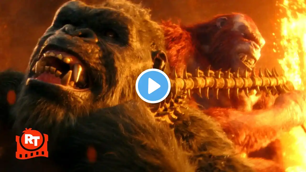 Godzilla x Kong: The New Empire (2024) - Kong vs. Skar King | Movieclips