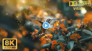 The Most Dramatic Landscapes Captured in Stunning 4K HDR Dolby Vision | 60FPS"