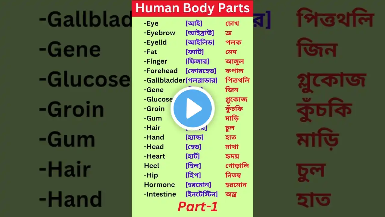 Human Body Parts( Part-1)👆 Speaking English ✅  Easy English Tips 👆Basic English✅ Vocabulary #shorts