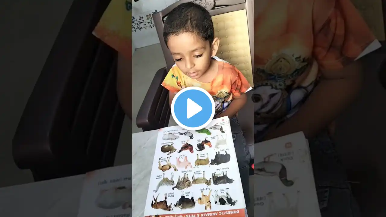 Names of Domestic Animals | 20 Animals for Kids | Learn Animal Names in English with MOMverseTV