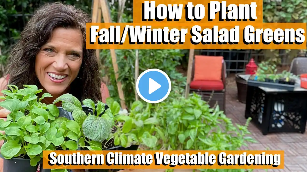 How to Plant Winter Salad Greens / Southern Climate Fall-Winter Vegetable Gardening Guide🥬