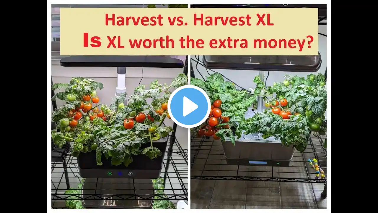 Aerogarden Harvest Vs. Harvest XL Hydroponics - Red Cherry tomatoes - Is XL worth the extra money?