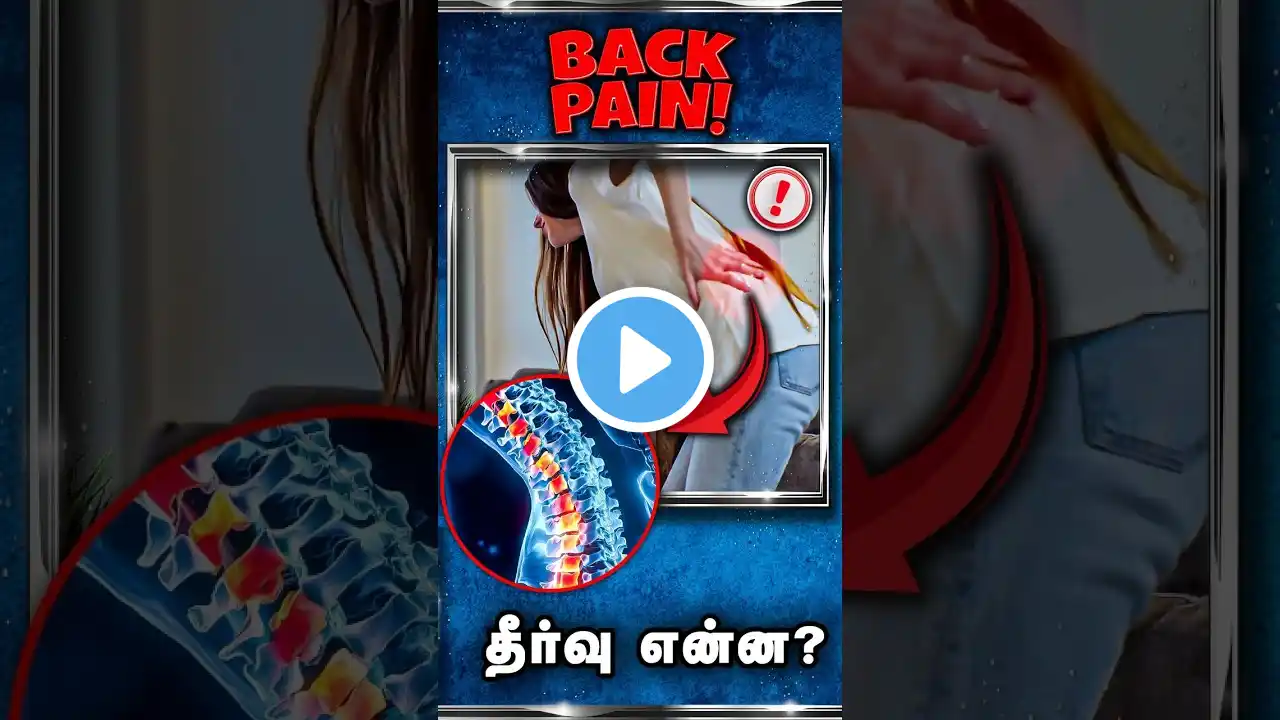 🧘♀️ Easy Yoga for Back Pain Relief | முதுகு வலிக்கு சுலபமான யோகா பயிற்சிகள்!