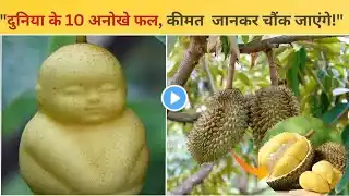 "दुनिया के 10 सबसे महंगे और अनोखे फल" l Top 10 Most expensive and unique fruits l VIDEO #3