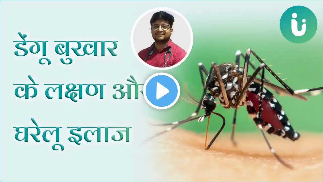 डेंगू बुखार के लक्षण, इलाज और घरेलू उपाय | Dengue fever symptoms, treatment and home remedies Hindi