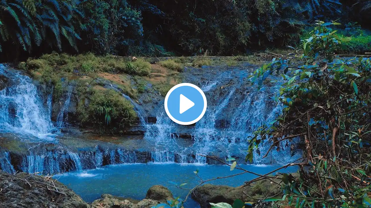 Waterfall Gentle Stream Sound in forest 24/7. Waterfall Sounds, Flowing Water, White Noise for Sleep