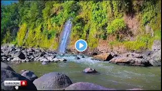 Peaceful River Flowing Sound. Gentle River, Relaxing Nature Sounds. White Noise for Sleep, Study