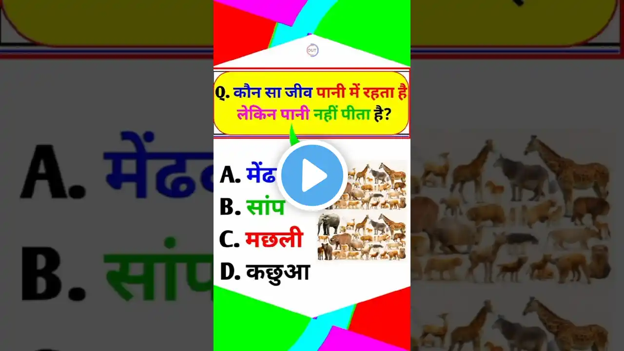 short gk questions || gk gs short video || viral gk quiz || short gk gs || #sushmashalonigkstudy #gk