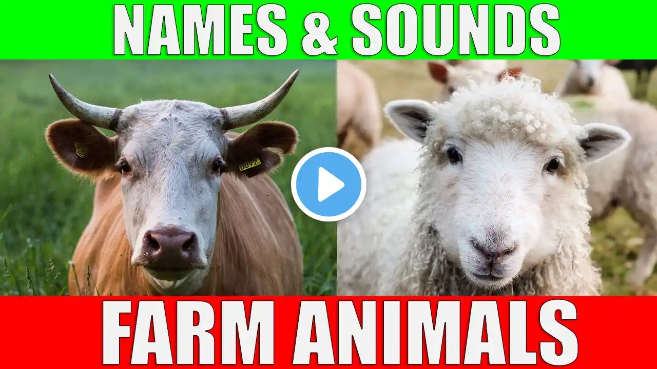 Farm Animals Names and Sounds for Kids to Learn | Learning Farm Animal Names and Sounds for Children