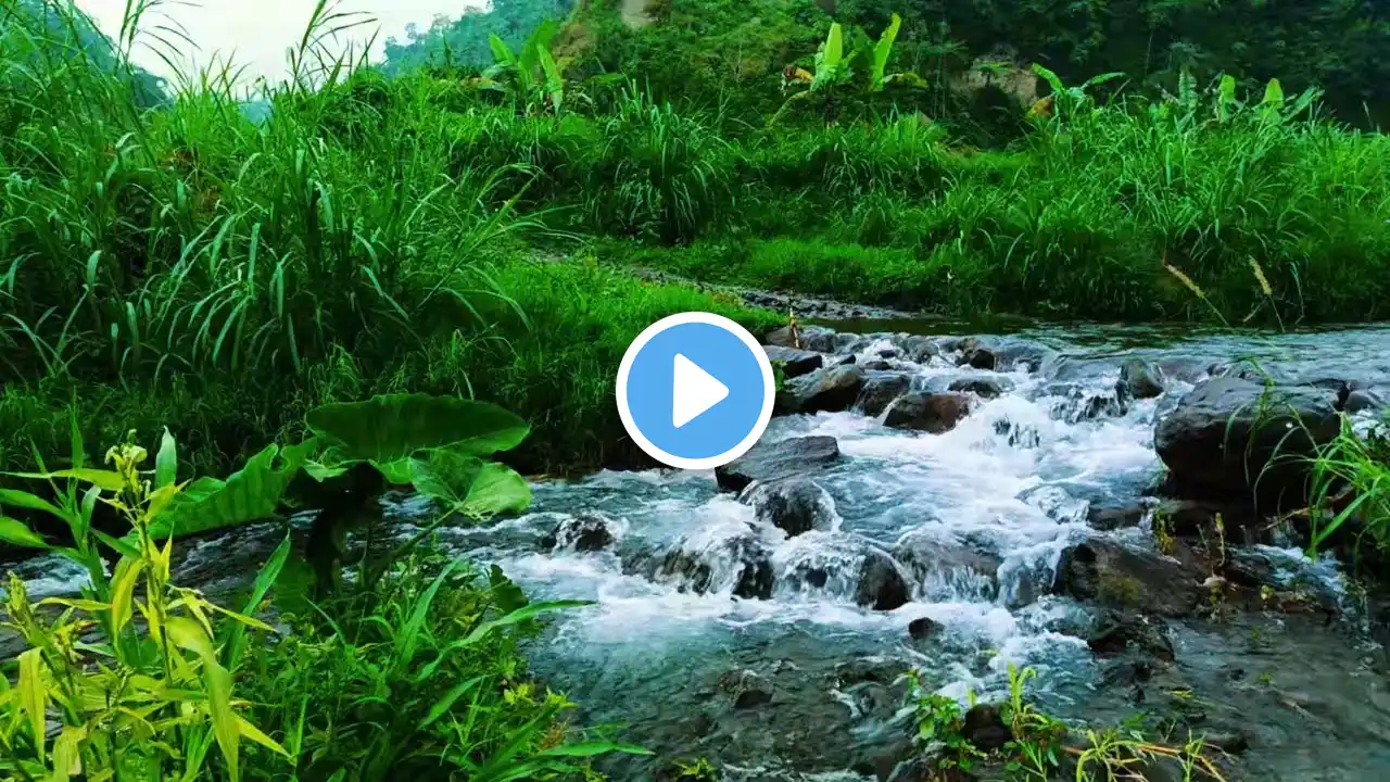 Peaceful Nature - Beautiful Waterfall, Gentle Water Sound, Melodious Birdsong, Gentle Nature