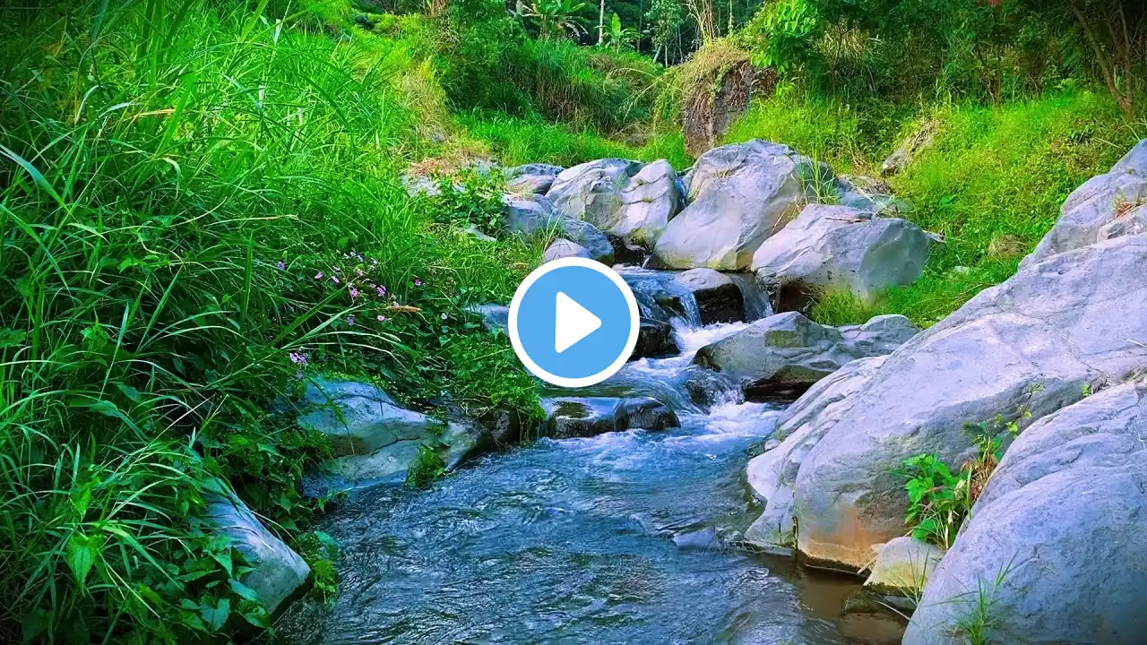 Relaxing Forest River Sounds: Gentle Water Flow for Restful Sleep for Study for Meditation