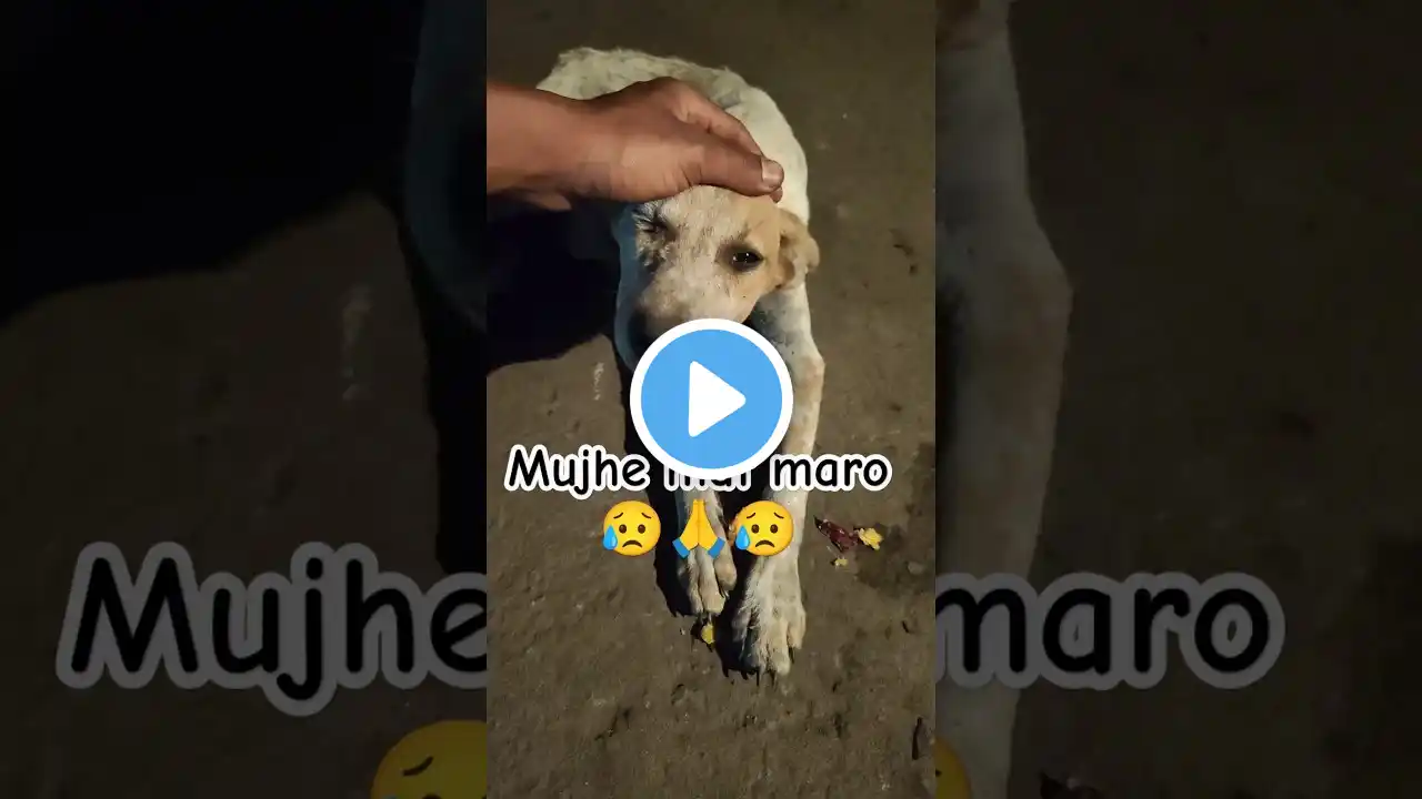 Middle class boys π₯Ήπ«‘ subscribe karo Bhai π«‘