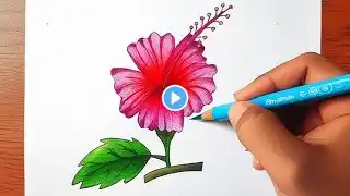 Hibiscus flower drawing / জবা ফুল আঁকা/ how to draw hibiscus/ easy hibiscus sketch / Flower drawing
