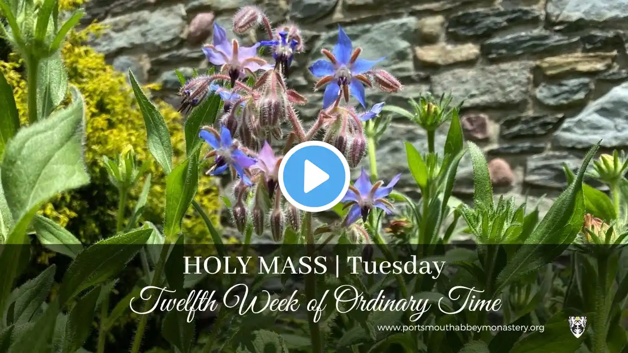 🔴LIVE HOLY MASS WITH GREGORIAN CHANT - Tuesday, Twelfth Week in Ordinary Time | Monks | 06-25-2024