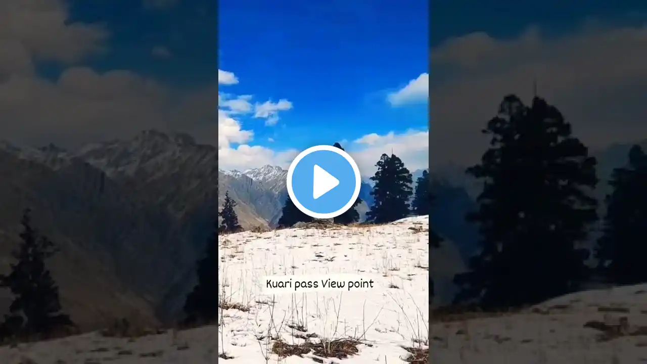 Awesome Snow Trek - Kuari Pass, Auli #uttrakhand #auli #snow #india #travel #nature #blogger #shorts