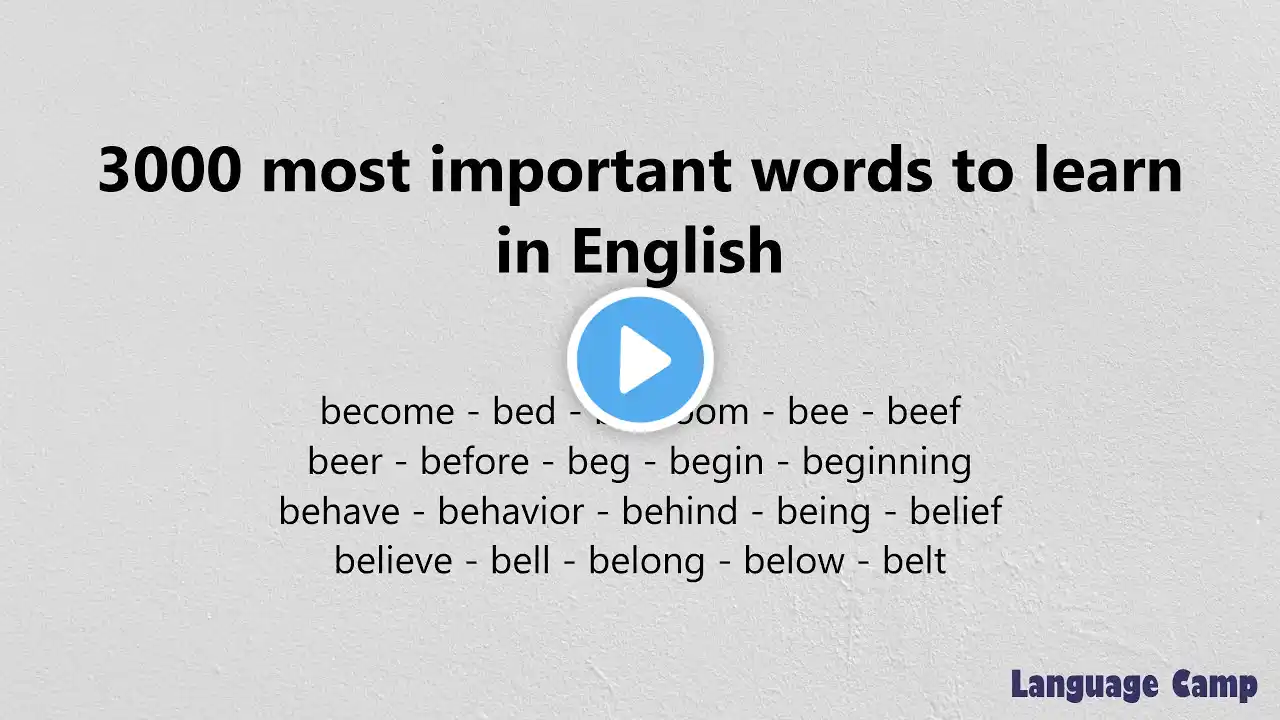 《221 - 240》3000 most important words to learn in English with sentences and IPA pronunciation