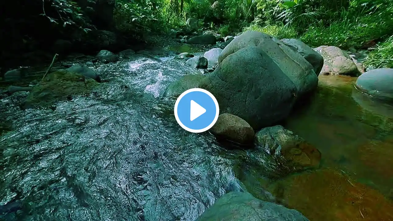 River Sounds: Sleep Sound, Calm Mind, Soothing River Flow for Peaceful Dreams