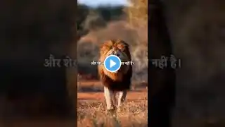 SilentЁЯдл рд░рд╣рдиреЗ рдХреА рдкреЙрд╡рд░ ЁЯдй #successful #successtips #mindset #youtubeshort #ai #feed #viralvideos