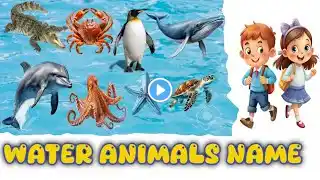 जल में रहने वाले जानवरों के नाम | Water Animals Names in Hindi & English | Water Animals l Animals