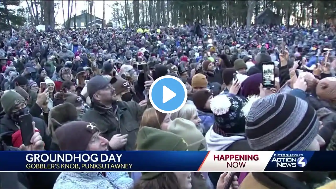 Punxsutawney Phil Groundhog Day