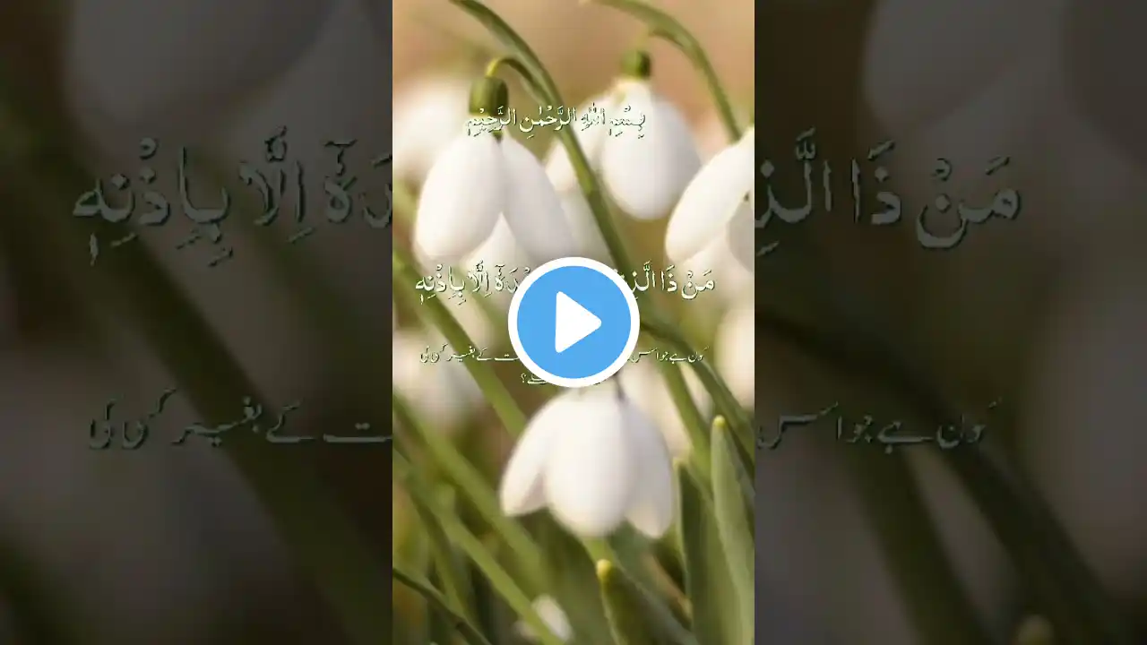 Ayatul kursi آیت الکرسی || شیخ عبدالرحمن الشریم تلاوت