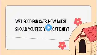 🐱 Wet Food for Cats: How Much Should You Feed Your Cat Daily? 🐱