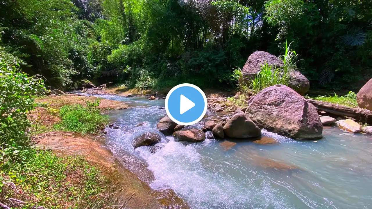 Melodic River Sounds with Picturesque Water Stream to Relieve Stress Immediately and Sleep Soundly