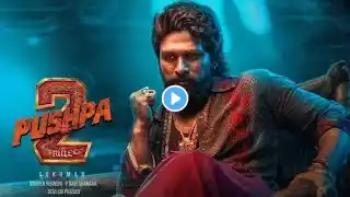 Pushpa 2 The Rule Full Movie In Hindi Dubbed | Allu Arjun | Rashmika Mandanna | Reviews & Facts