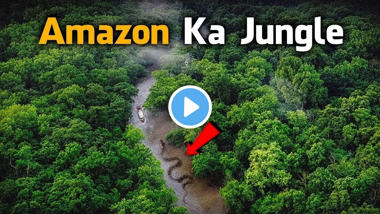 Most Dangerous Animals Of Amazon Rainforest | Strange Facts About Amazon Rainforest [Hindi/Urdu]