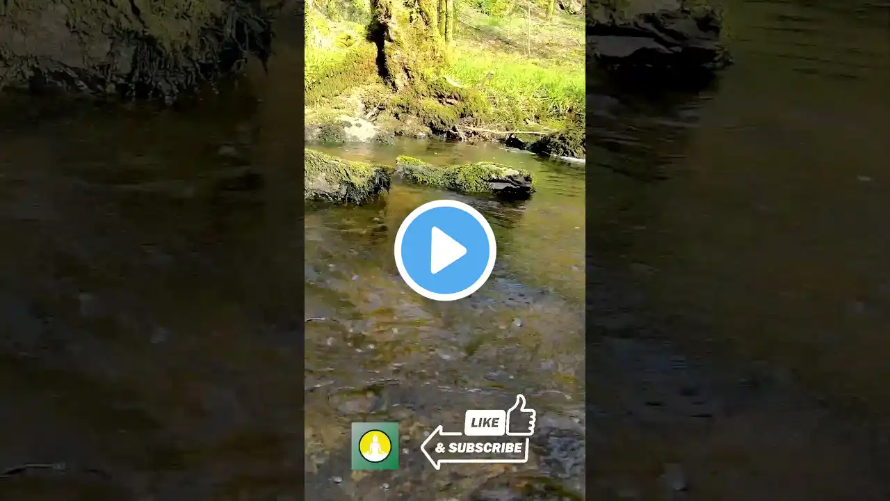 Nature Sounds of a Forest River for Relaxing - Short River sound 221