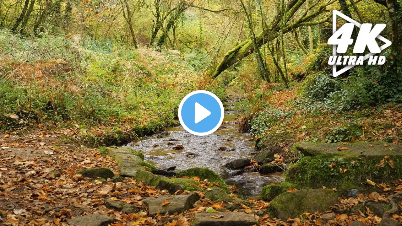 Relaxing River Stream with Gentle Piano Music | Calming Water Sounds for Sleep, Study & Meditation