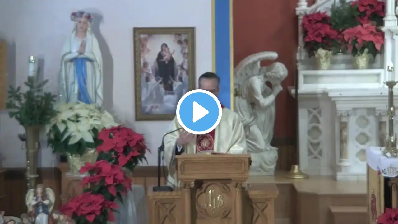 Gospel & Homily, 12-25-2020, Christmas Mass