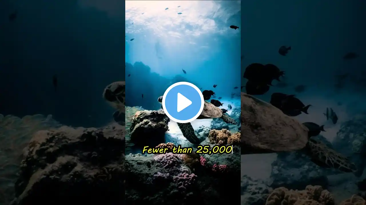 10 Animals That Are Soon To Be EXTINCT!! ☠️🐾 - Part 1 #animals #wildlife #facts #nature #shorts