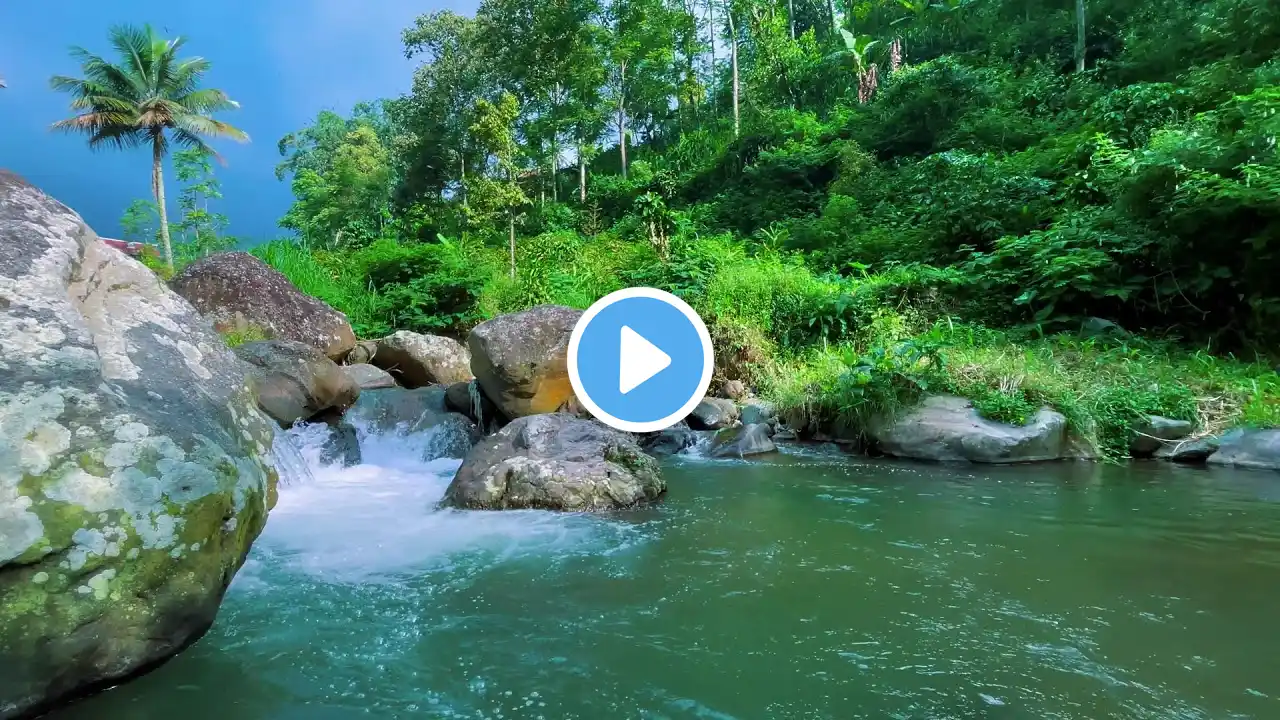 Soothing Waterfall Between Forest Stones | Calming River Sounds for Meditation and Rest