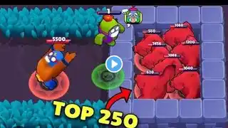 BRAWL STARS FUNNIEST MOMENTS OF THE WEEK #1 | Brawl Stars Funny Moments & Fails & Highlights 2025