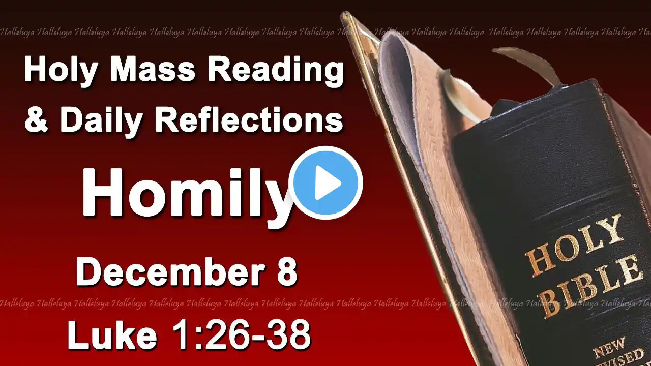 Catholic Mass Reading and Reflections I December 8 I Homily I Daily Reflections I Luke 1:26-38