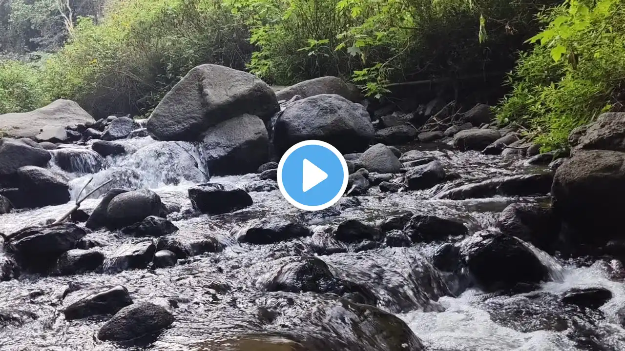 River nature sounds with birds singing in forest, for stress relief for sleep, meditation