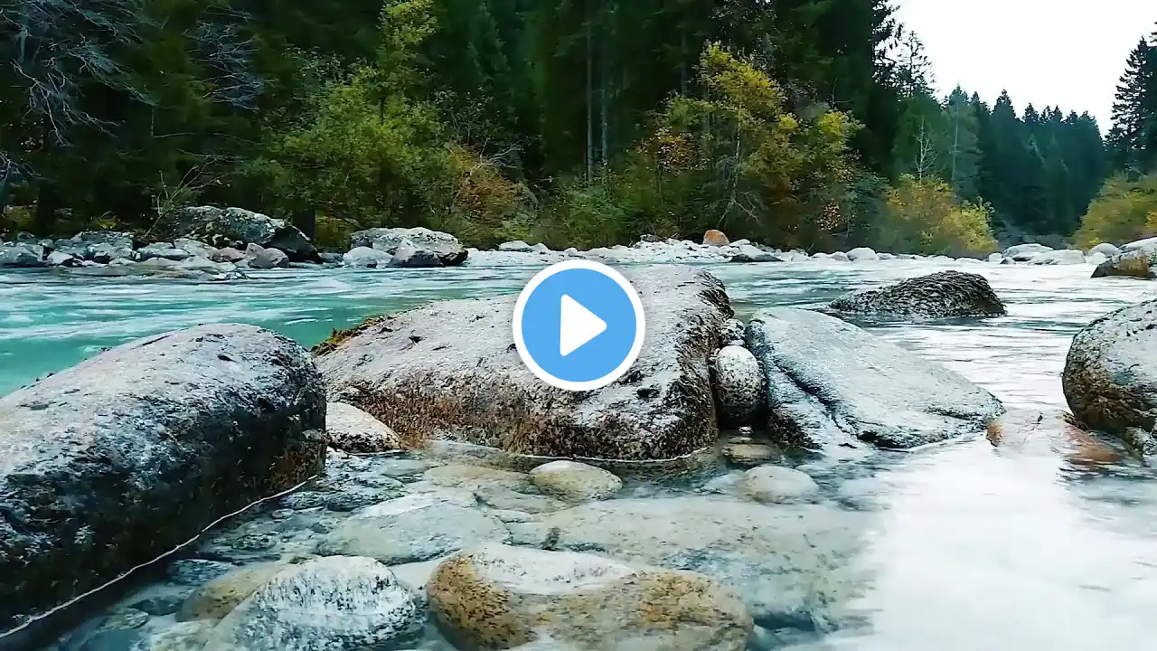 Soothing Water & Nature Sounds πΏ | Live Forest River for Mind & Body Relaxation
