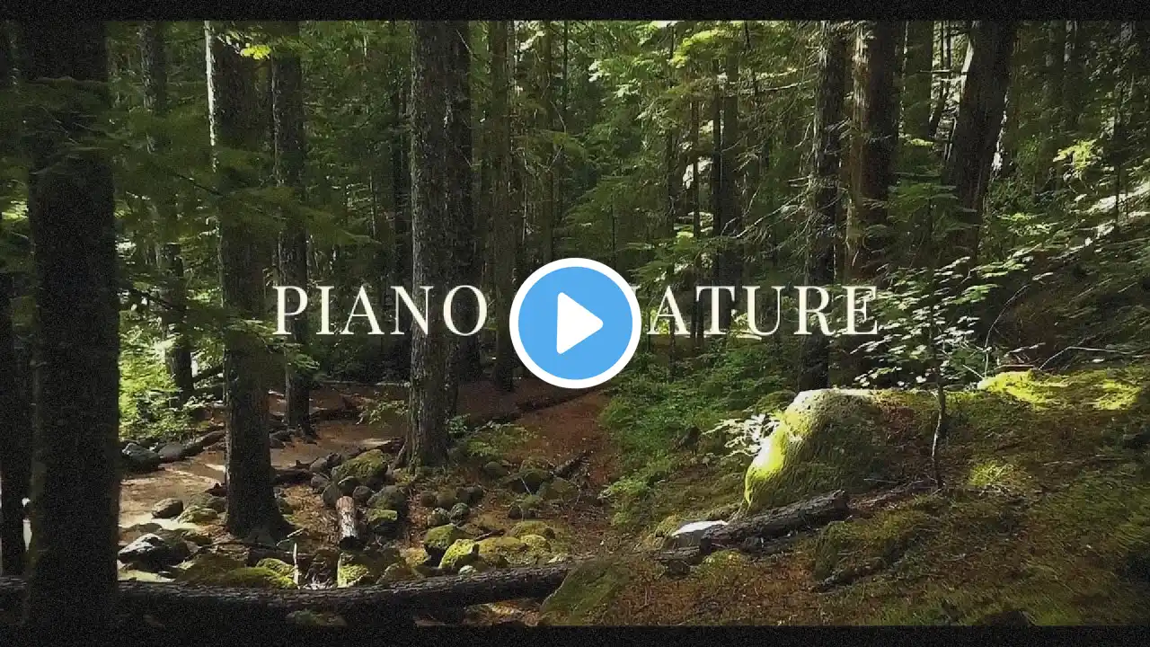 πΏ 1 Hour Relaxing Piano Music with Water and Bird Sounds | Music for Focus and Stress Relief