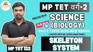 Top MCQs on Skeletal System for MP TET Varg 2 | Detailed Explanation in Hindi and English|