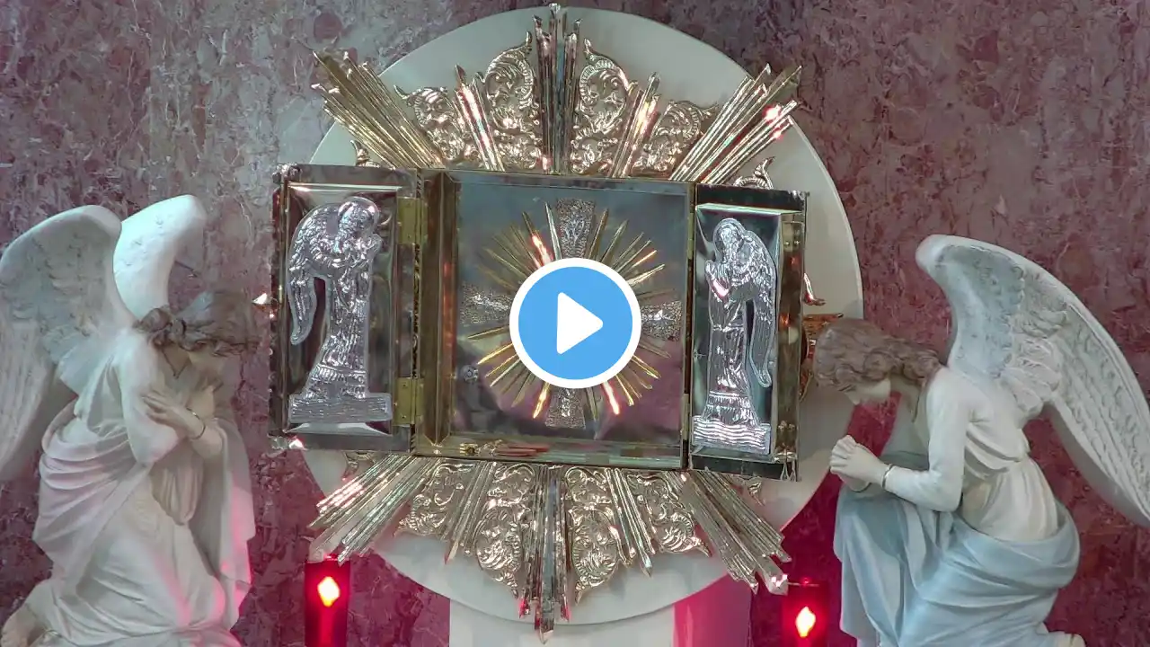 Live Mass - Twenty Ninth Sunday in Ordinary Time | Ascension Catholic Church LA