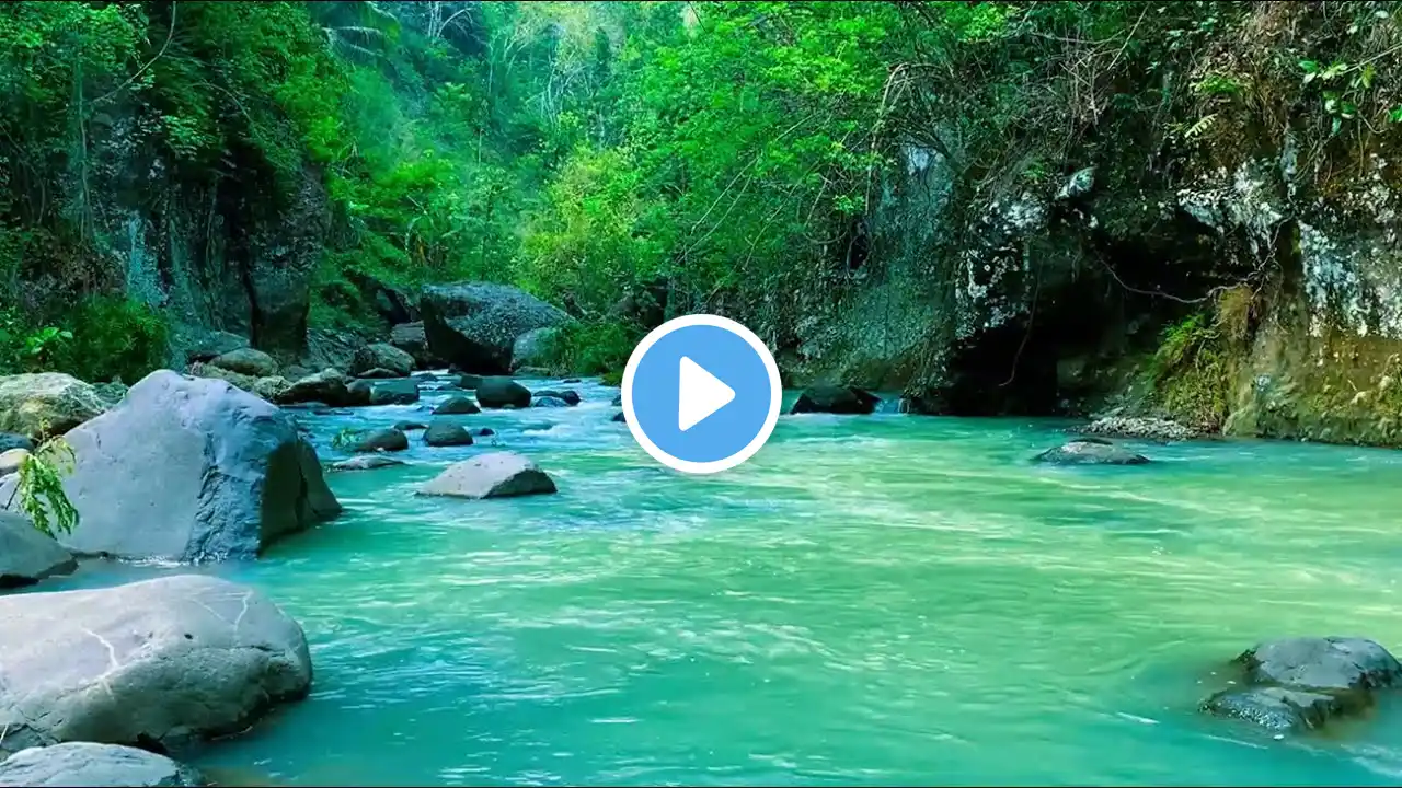 Waterfall River flowing in forest, Relaxing flowing water, White Noise for Sleep, Meditation 8