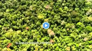 First Aerial Footage of an Uncontacted Tribe HD